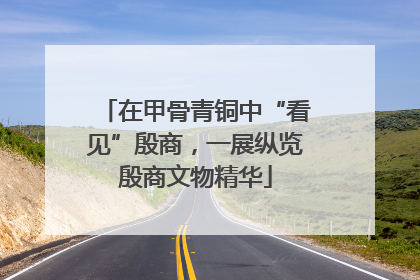 在甲骨青铜中“看见”殷商，一展纵览殷商文物精华