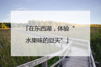 在东西湖，体验“水果味的夏天”