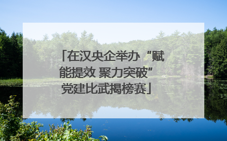 在汉央企举办“赋能提效 聚力突破”党建比武揭榜赛
