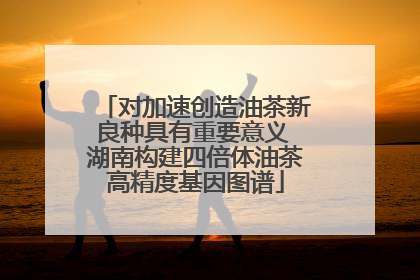 对加速创造油茶新良种具有重要意义 湖南构建四倍体油茶高精度基因图谱