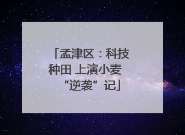 孟津区：科技种田 上演小麦“逆袭”记