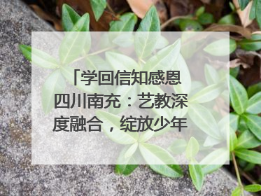学回信知感恩 四川南充：艺教深度融合，绽放少年儿童风采｜您牵挂的四川