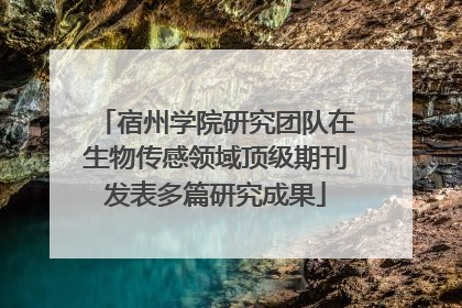 宿州学院研究团队在生物传感领域顶级期刊发表多篇研究成果