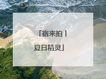 宿来拍丨夏日精灵