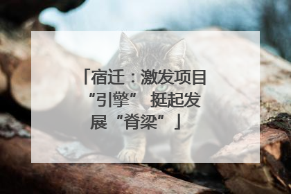 宿迁：激发项目“引擎” 挺起发展“脊梁”