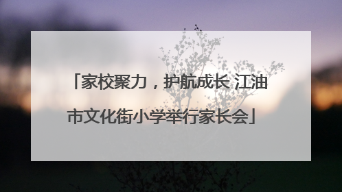 家校聚力，护航成长 江油市文化街小学举行家长会