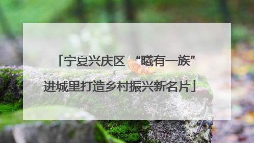 宁夏兴庆区 “曦有一族”进城里打造乡村振兴新名片