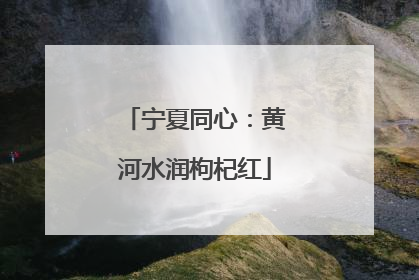 宁夏同心：黄河水润枸杞红