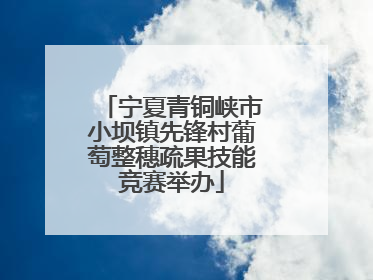 宁夏青铜峡市小坝镇先锋村葡萄整穗疏果技能竞赛举办