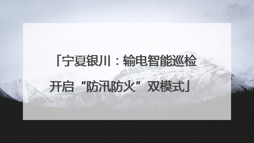 宁夏银川：输电智能巡检开启“防汛防火”双模式