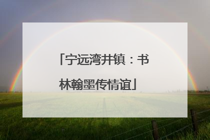 宁远湾井镇：书林翰墨传情谊