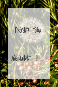 守护“海底雨林”