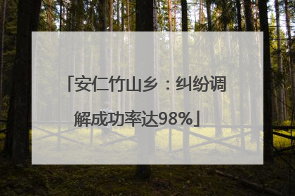 安仁竹山乡：纠纷调解成功率达98%