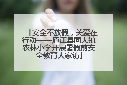 安全不放假，关爱在行动——庐江县同大镇农林小学开展暑假前安全教育大家访