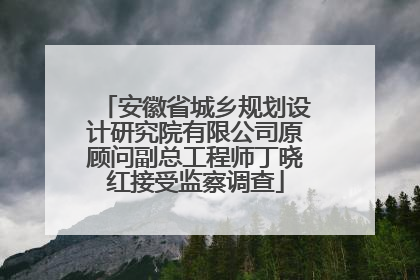 安徽省城乡规划设计研究院有限公司原顾问副总工程师丁晓红接受监察调查