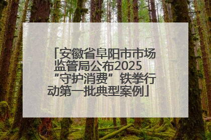 安徽省阜阳市市场监管局公布2025“守护消费”铁拳行动第一批典型案例