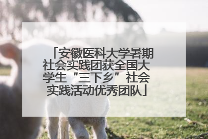 安徽医科大学暑期社会实践团获全国大学生“三下乡”社会实践活动优秀团队