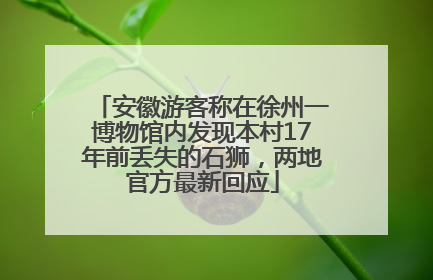 安徽游客称在徐州一博物馆内发现本村17年前丢失的石狮，两地官方最新回应
