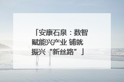 安康石泉：数智赋能兴产业 铺就振兴“新丝路”