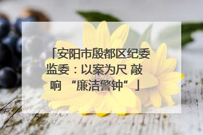 安阳市殷都区纪委监委：以案为尺 敲响 “廉洁警钟”