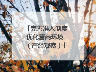 完善准入制度 优化营商环境（产经观察）