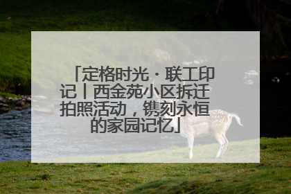 定格时光・联工印记丨西金苑小区拆迁拍照活动，镌刻永恒的家园记忆