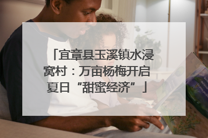 宜章县玉溪镇水浸窝村：万亩杨梅开启夏日“甜蜜经济”