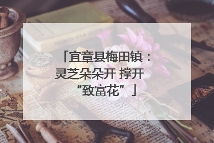 宜章县梅田镇：灵芝朵朵开 撑开“致富花”