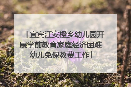 宜宾江安橙乡幼儿园开展学前教育家庭经济困难幼儿免保教费工作