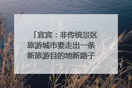 宜宾：非传统景区旅游城市要走出一条新旅游目的地新路子｜话锦绣·说安逸