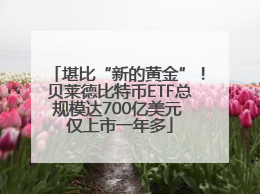 堪比“新的黄金”！贝莱德比特币ETF总规模达700亿美元 仅上市一年多