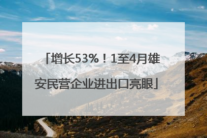 增长53%！1至4月雄安民营企业进出口亮眼