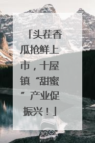头茬香瓜抢鲜上市，十屋镇“甜蜜”产业促振兴！
