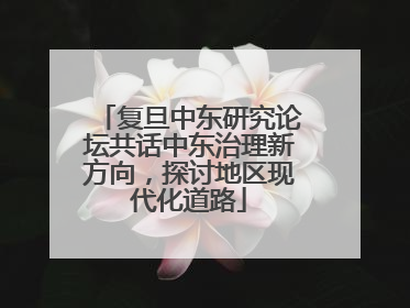 复旦中东研究论坛共话中东治理新方向，探讨地区现代化道路