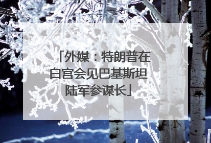 外媒：特朗普在白宫会见巴基斯坦陆军参谋长