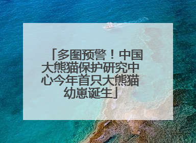 多图预警！中国大熊猫保护研究中心今年首只大熊猫幼崽诞生