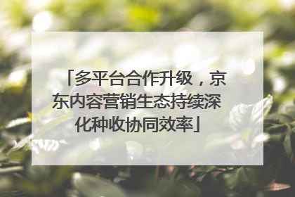 多平台合作升级，京东内容营销生态持续深化种收协同效率
