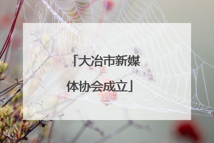 大冶市新媒体协会成立