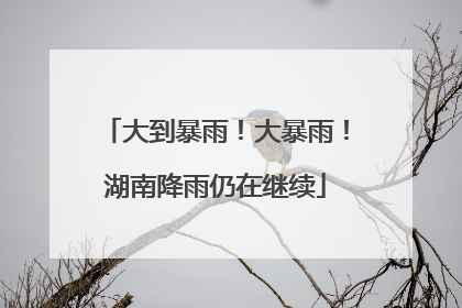 大到暴雨！大暴雨！湖南降雨仍在继续