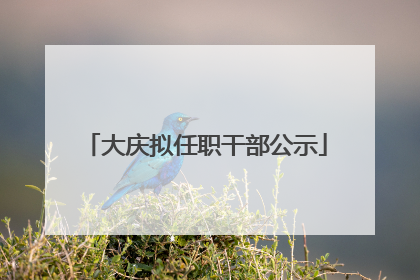 大庆拟任职干部公示