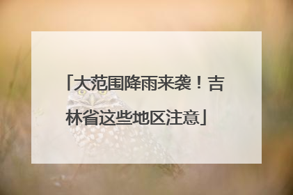 大范围降雨来袭！吉林省这些地区注意