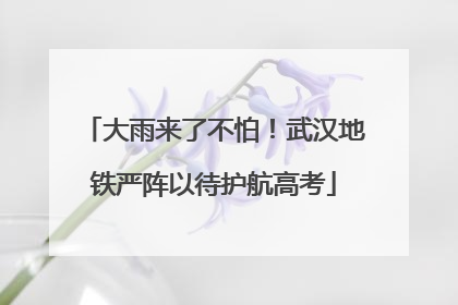 大雨来了不怕！武汉地铁严阵以待护航高考