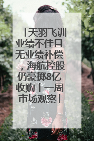 天羽飞训业绩不佳且无业绩补偿，海航控股仍豪掷8亿收购丨一周市场观察