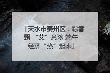 天水市秦州区：粽香飘 “艾”意浓 端午经济“热”起来