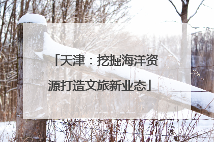 天津：挖掘海洋资源打造文旅新业态