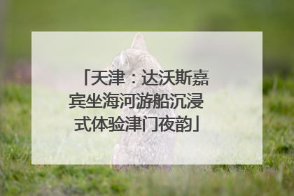 天津：达沃斯嘉宾坐海河游船沉浸式体验津门夜韵