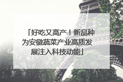 好吃又高产！新品种为安徽蔬菜产业高质发展注入科技动能