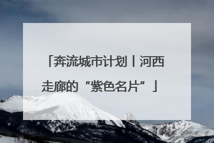 奔流城市计划丨河西走廊的“紫色名片”