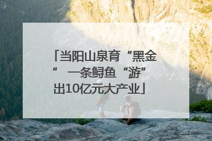 当阳山泉育“黑金” 一条鲟鱼“游”出10亿元大产业