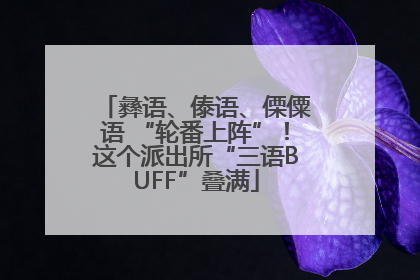 彝语、傣语、傈僳语 “轮番上阵”！这个派出所“三语BUFF”叠满